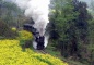 Sichuan Jiayang mini steam engine train